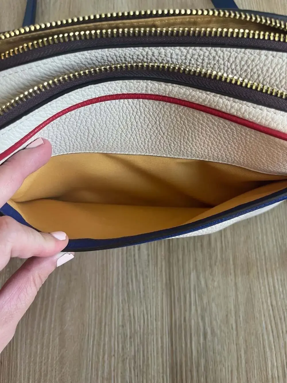 Coach, Color Block Pebble Leather, 2 Zipper Crossbody,Neutral,Gold,Luxury,Travel